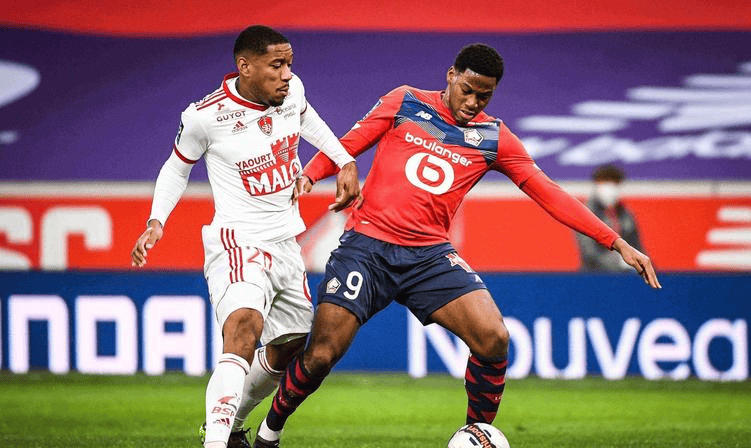 理与身体的 理与身体的